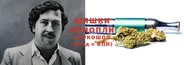 ПСИЛОЦИБИНОВЫЕ ГРИБЫ Белокуриха