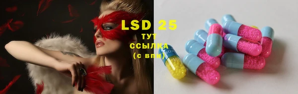 ПСИЛОЦИБИНОВЫЕ ГРИБЫ Белокуриха