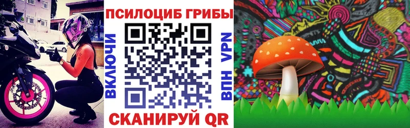 Галлюциногенные грибы Psilocybine cubensis  OMG ССЫЛКА  Курильск 