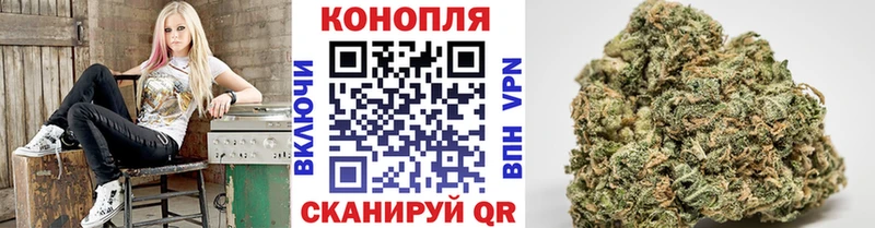 Бошки марихуана марихуана  даркнет сайт  Курильск 